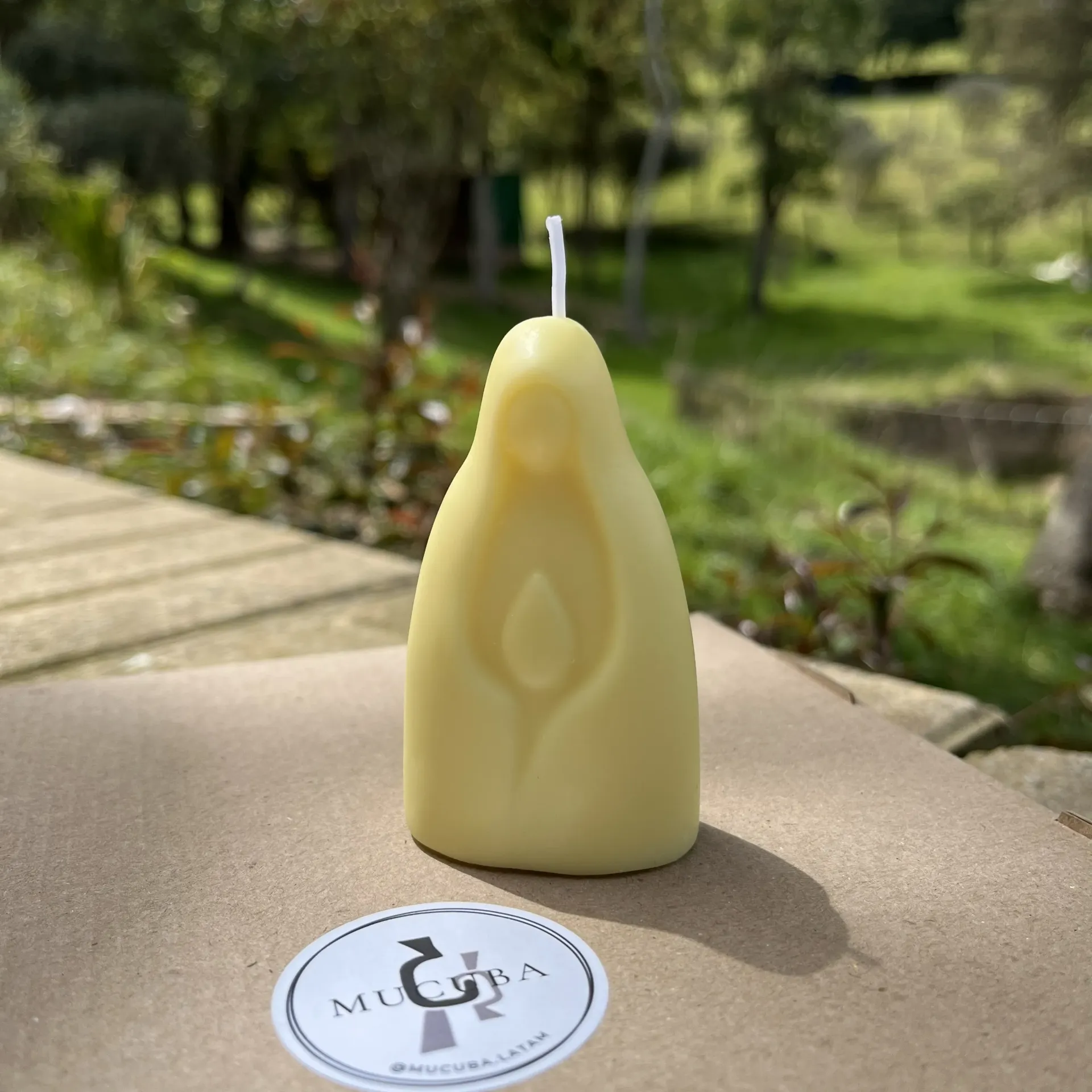 [Virgen manos] Velo de luz