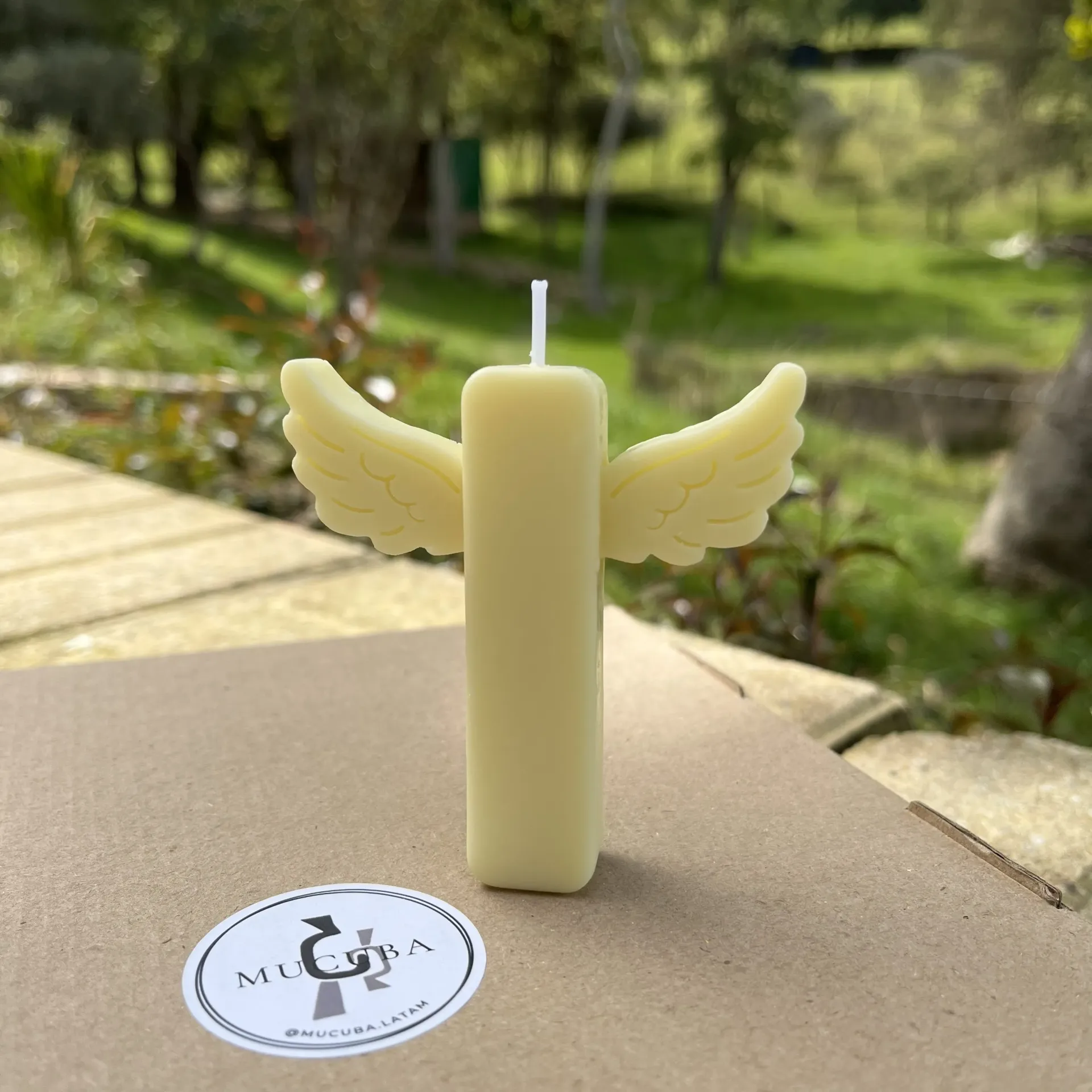 [Angel rectangular] Luz del camino